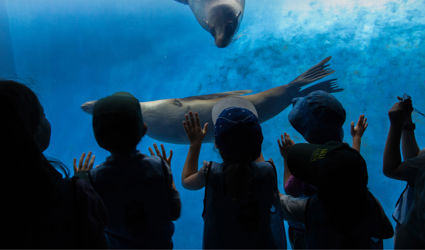 Zoos Banner