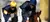 Vrc Banner